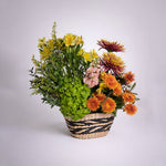 Load image into Gallery viewer, Sunlit Garden Basket
