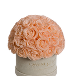 Load image into Gallery viewer, Champagne Eternity Rose Box