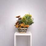 Load image into Gallery viewer, Sunlit Garden Basket