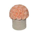 Load image into Gallery viewer, Champagne Eternity Rose Box
