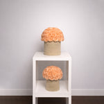 Load image into Gallery viewer, Champagne Eternity Rose Box