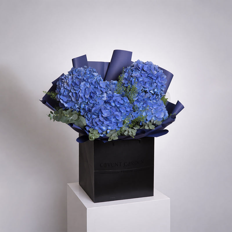 Midnight Azure Hydrangea Box