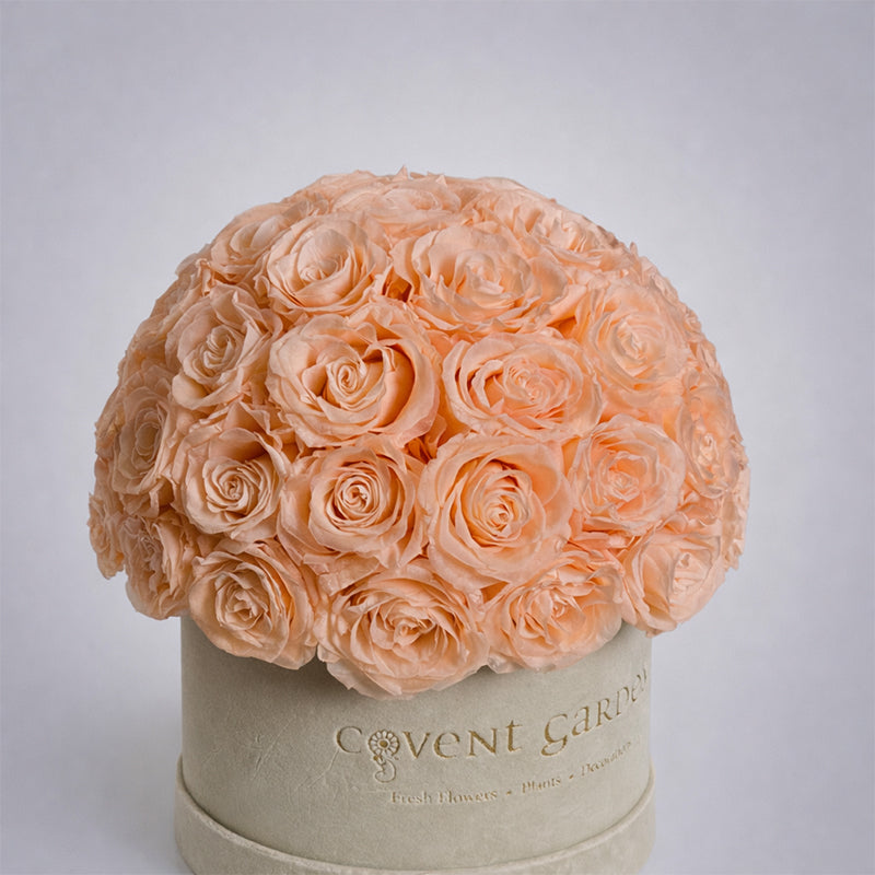 Champagne Eternity Rose Box