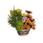 Load image into Gallery viewer, Sunlit Garden Basket