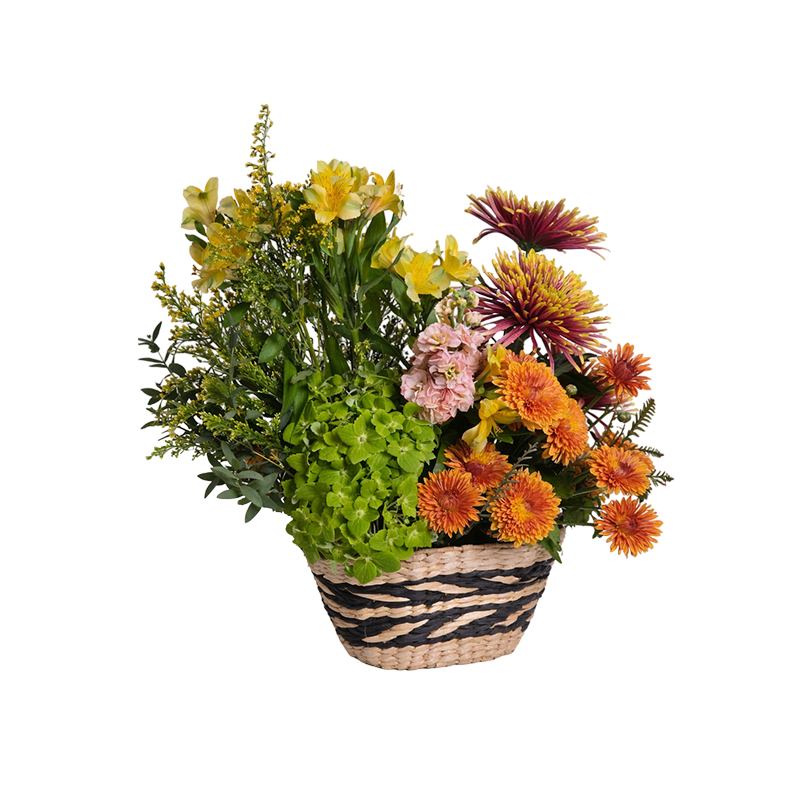 Sunlit Garden Basket