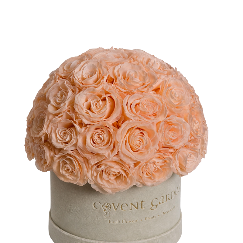 Champagne Eternity Rose Box