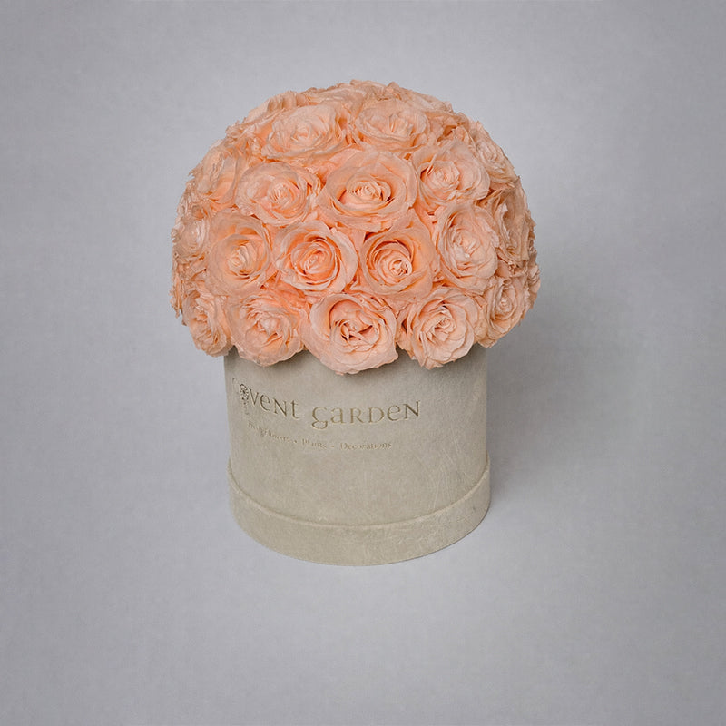 Champagne Eternity Rose Box