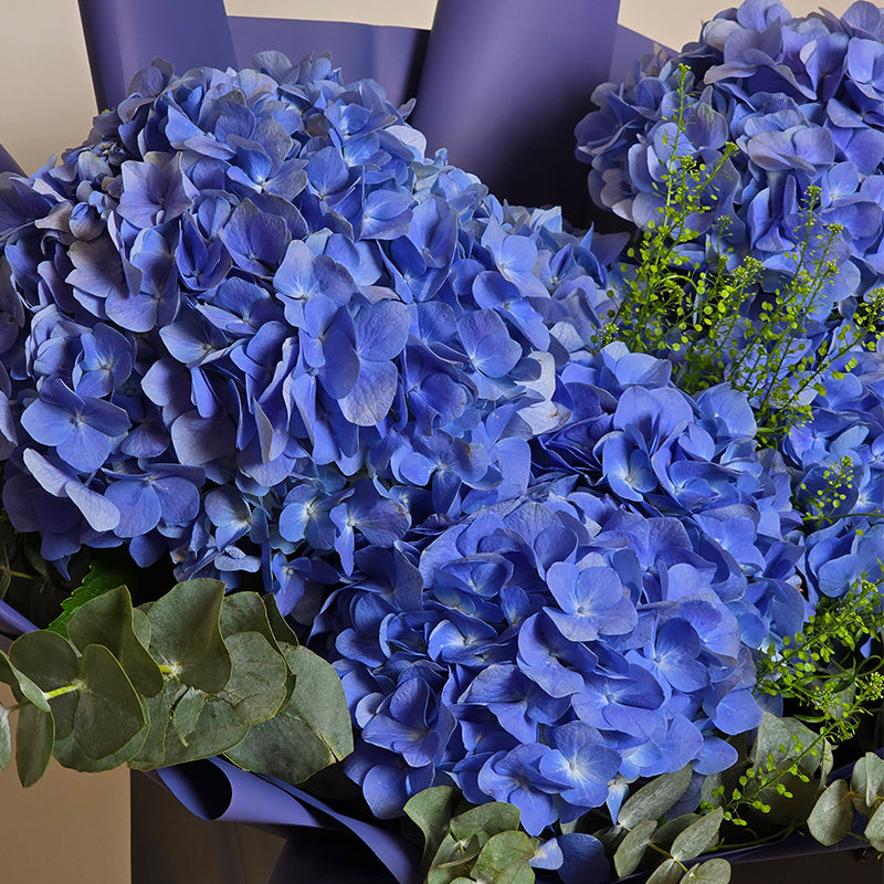 Flower Boxes