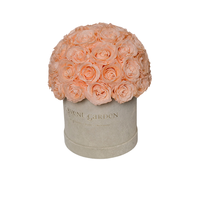 Champagne Eternity Rose Box