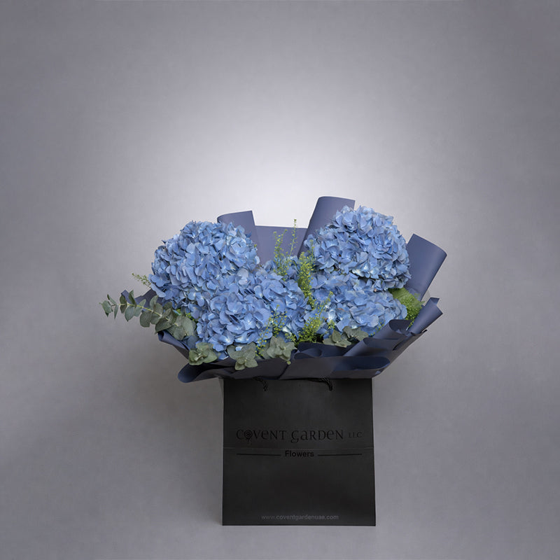 Midnight Azure Hydrangea Box