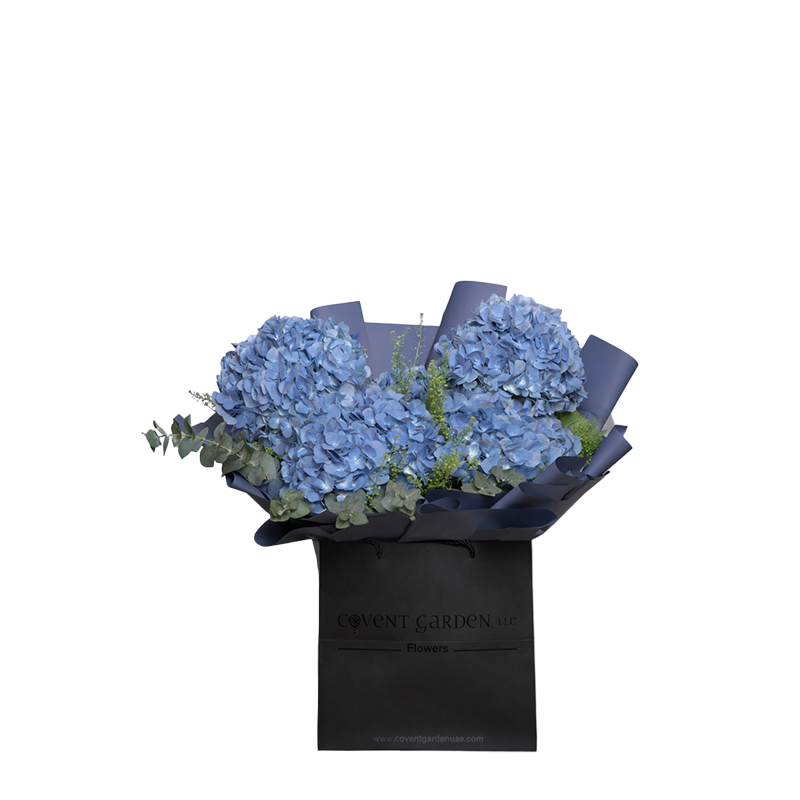 Midnight Azure Hydrangea Box