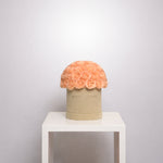 Load image into Gallery viewer, Champagne Eternity Rose Box