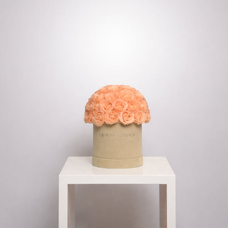 Champagne Eternity Rose Box