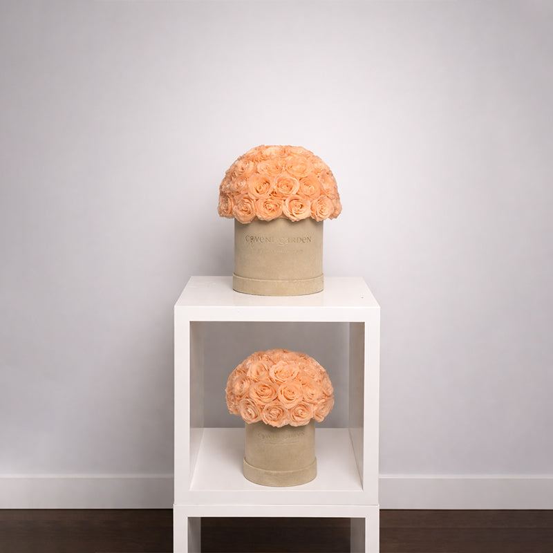 Champagne Eternity Rose Box